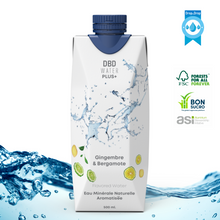 Load image into Gallery viewer, Brique Tetra Pak - Drop By Drop 500ml Gingembre - Bergamote - Carton de 12 unités