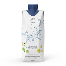 Load image into Gallery viewer, Brique Tetra Pak - Drop By Drop 500ml Gingembre - Bergamote - Carton de 12 unités